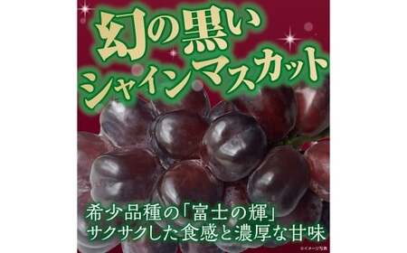 【訳あり】かねひろの黒酢ブラックシャインマスカット 富士の輝き 約700g × 2房 （合計：約1.4kg） 【2026年9月上旬～9月下旬発送予定】 シャインマスカット ぶどう ブドウ ブラック 葡