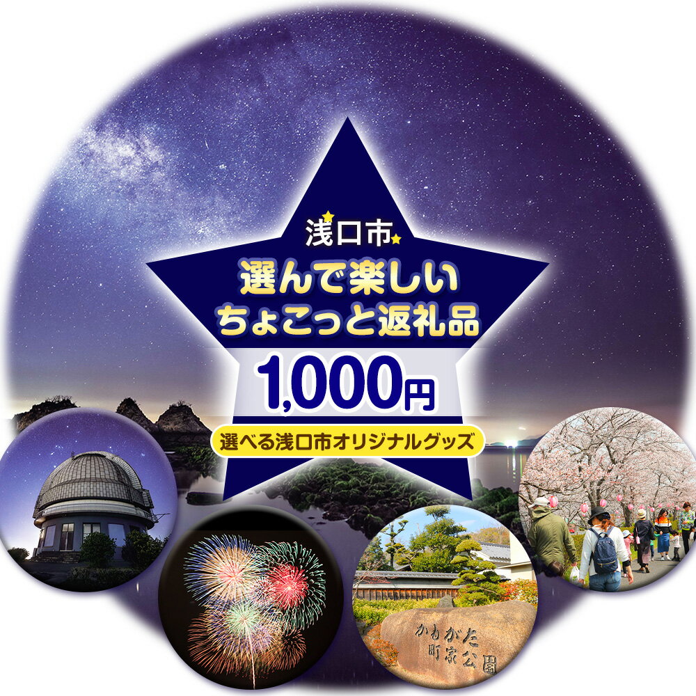 【ふるさと納税】岡山県 浅口市 応援寄附 1口 1000円 選んで楽しい ちょこっと返礼品 Aセット 浅口市おもしろ工作キット Bセット せいめいくん シール＆ステッカーセット 浅口市役所《30日以内に出荷予定(土日祝除く)》岡山県 浅口市 応援 寄附 ちょこっと 返礼品あり