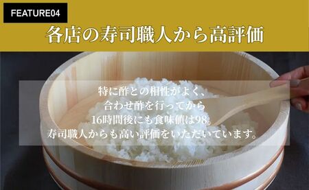 令和7年産 会津産コシヒカリ 米でいいの田゛白米 5kg｜令和7年 2025年 会津産 米 お米 こめ コメ 精米 こしひかり 新米 [1095]