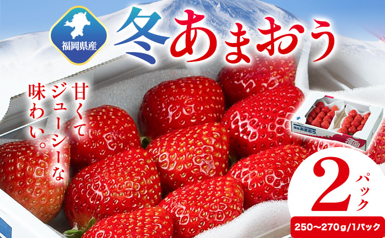
            福岡県産 冬あまおう 2パック 南国フルーツ株式会社《12月上旬-1月末頃出荷》福岡県 鞍手町 あまおう いちご イチゴ 送料無料【配送不可地域あり】
          