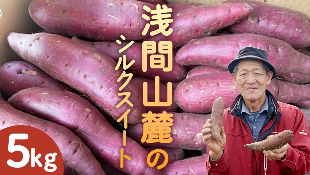 
            嬬恋産 シルクスイート 約5kg (目安： 15-20本 ) サツマイモ さつまいも 産地直送 お取り寄せ 通販 高原野菜 野菜 いも お芋 [AT017tu]
          