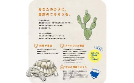 あなたのカメに、自然のごちそうを。食べるサボテン「かめはめ葉」（1㎏）　カメのエサ サボテン 1kg ペット用品 ペット 餌 エサ カメ 亀  亀のエサ 国産