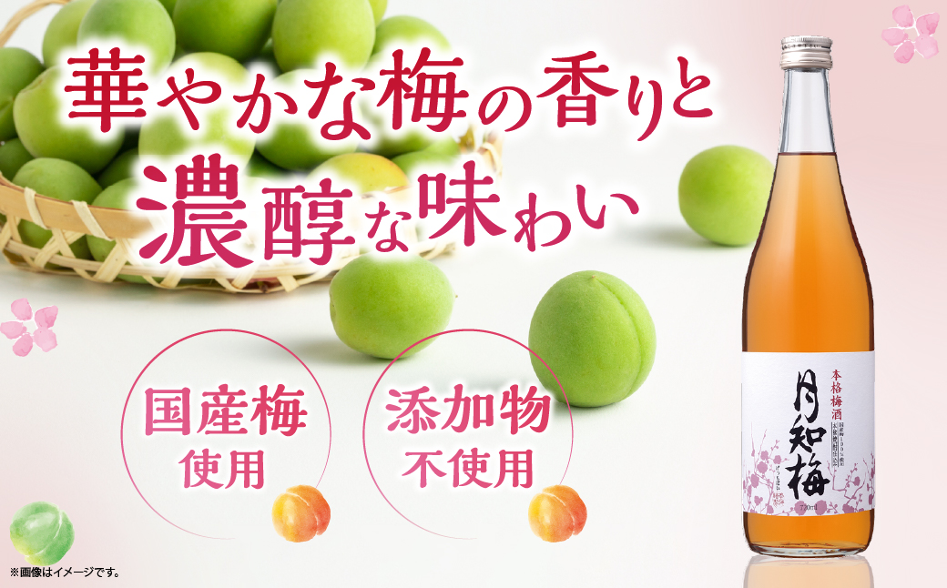 【雲海酒造】国産梅100%使用 本格梅酒「月知梅」720ml×3本_A0087-011