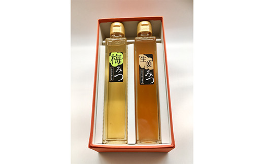 
フルーツ漬け蜂蜜2本セット（梅みつ＆生姜みつ）【はちみつ ハチミツ 蜂蜜 家庭用 自宅用 贈答品 贈答用 ギフト お取り寄せ 御中元 お中元 お歳暮 父の日 母の日 贈り物 梅 生姜 フルーツ 神奈川県 小田原市 】
