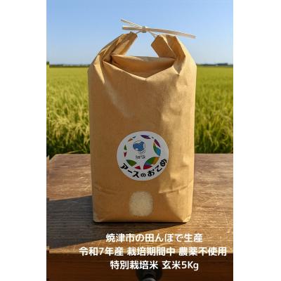 ふるさと納税 焼津市 令和7年産　アースのおこめ　栽培期間中　無農薬　特別栽培米　玄米5Kg(a42-017)