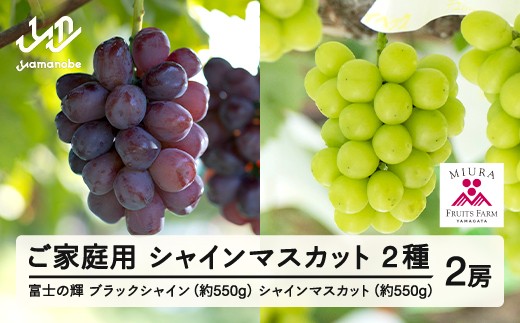 
            【ふるさと納税】先行予約 ぶどう 富士の輝 約550g シャインマスカット 約550g セット ご家庭用 令和8年産 2026年産 山形県山辺町産 ブラックシャインマスカット フルーツ 果物 bg-bufsk1200
          