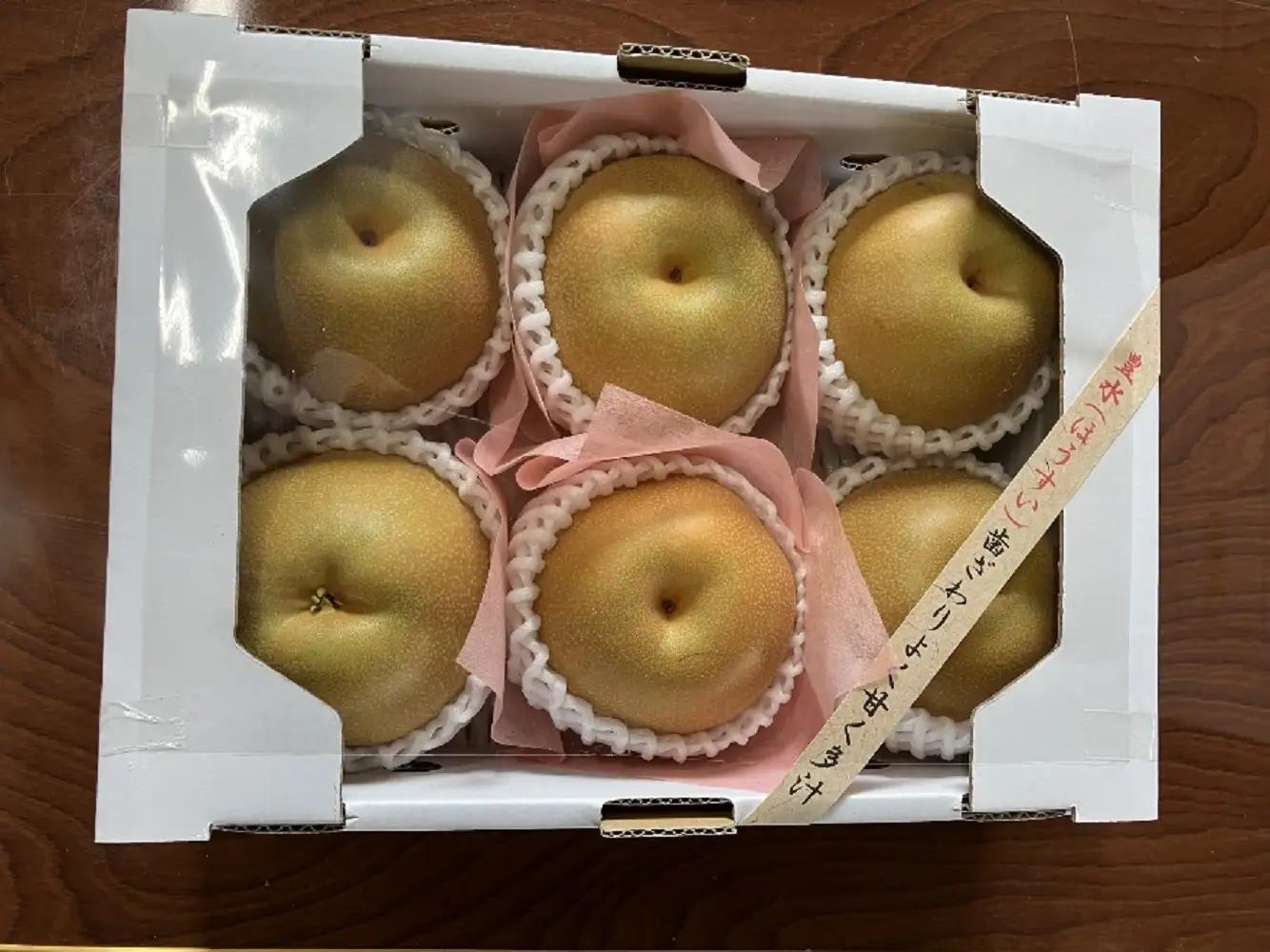 【2026年産】東根市産 和梨 約2kg(品種おまかせ)和梨 おまかせ