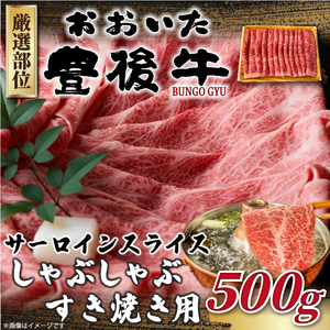 【厳選部位】おおいた豊後牛サーロインしゃぶしゃぶすき焼き用 500g