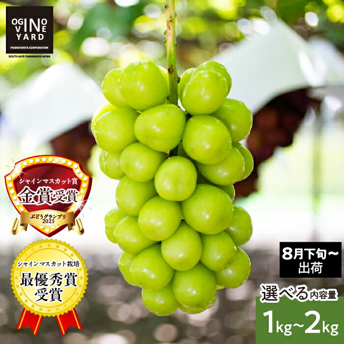 【ふるさと納税】 2026年秋収穫先行予約 山梨県産シャインマスカット 選べる容量 ふるさと納税 シャインマスカット ぶどう 葡萄 果物 フルーツ 2房 3房 4房 おすすめ 山梨県 南アルプス市 送料無料 ALPAK006