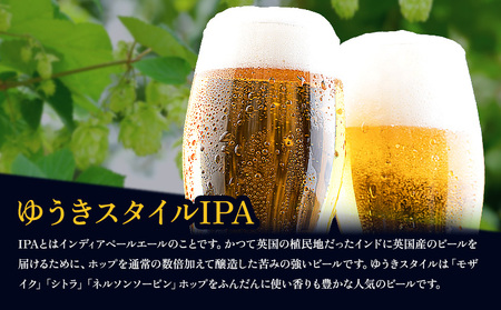 ビールの縁側 つむぎの郷発祥！ スターターセット クラフトビール3L + 専用ポンプセット 株式会社結城麦酒《90日以内に出荷予定(土日祝除く)》茨城県 結城市 クラフトビール お酒 酒 ポップ 結城
