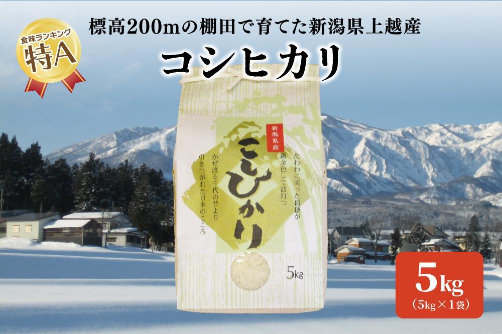 標高200ｍで育てた棚田米｜令和5年産・新潟県上越市中郷産・従来種コシヒカリ精米5kg