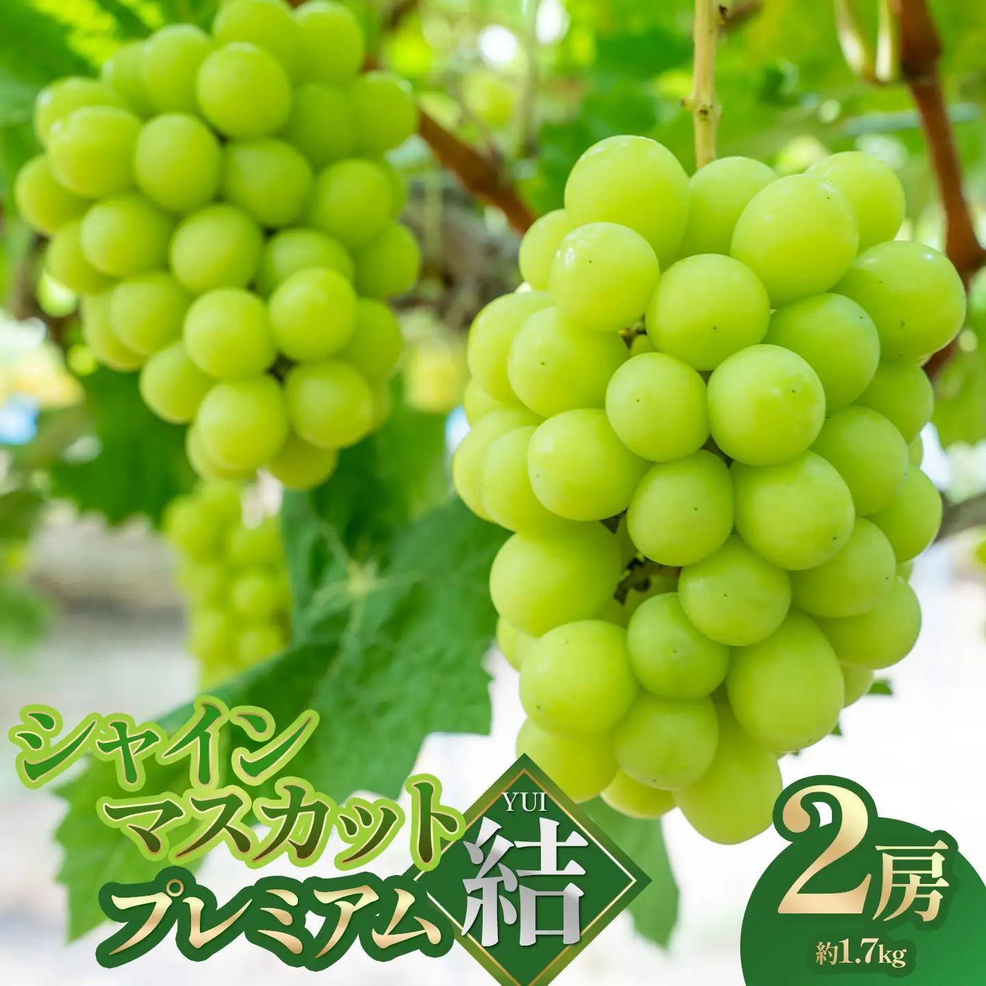 【令和8年産】 シャインマスカット プレミアム「結」 2房(約1.7kg) 山形県鶴岡市 みのりファーム