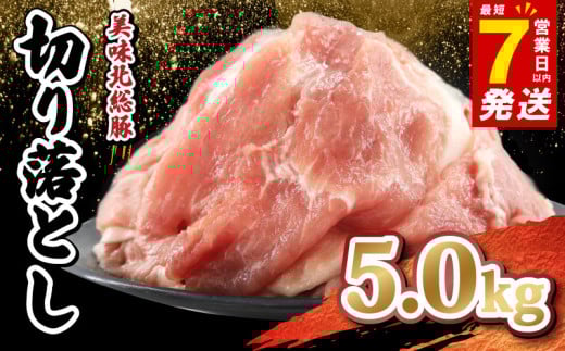 ＼最短7営業日以内発送／ 豚肉 切り落とし 5.0 kg 小分け 真空パック 千葉県 産 銘柄 美味北総豚 豚 豚こま肉 豚コマ肉 国産 こま肉 500g 冷凍 カレー 鍋 野菜 炒め 炒め物 煮物 家庭用 送料無料 産地直送 人気 新鮮 美味しい 便利 時短 料理 千葉県 旭市 旭食肉協同組合 ask013