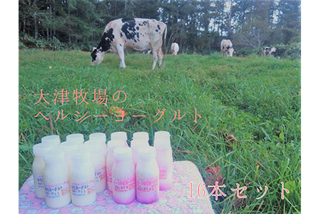 【大津牧場の搾りたてミルク使用】北海道産 のむヨーグルト ヘルシーセット 16本 プレーン ビーツ ダイエット 産地直送 牛乳 ヨーグルト せたな町 ふるさと納税