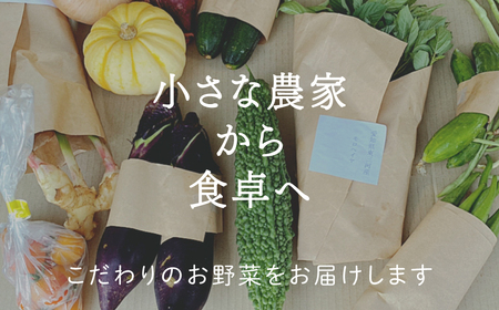 旬の野菜セット　5品～6品　野菜 野菜詰め合わせ おまかせ 新鮮 旬の野菜 愛知県 豊橋市