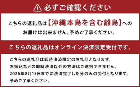 ニューピオーネ（良） 2kg ぶどう 葡萄 フルーツ 果物 岡山県 岡山県産 2026年 先行予約 【2026年8月下旬-9月下旬発送予定】