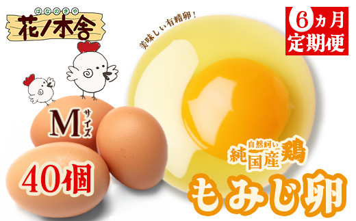 【6か月定期便】自然飼い　純国産鶏「もみじ」卵　40個入　（Mサイズ）　【04209-0238】