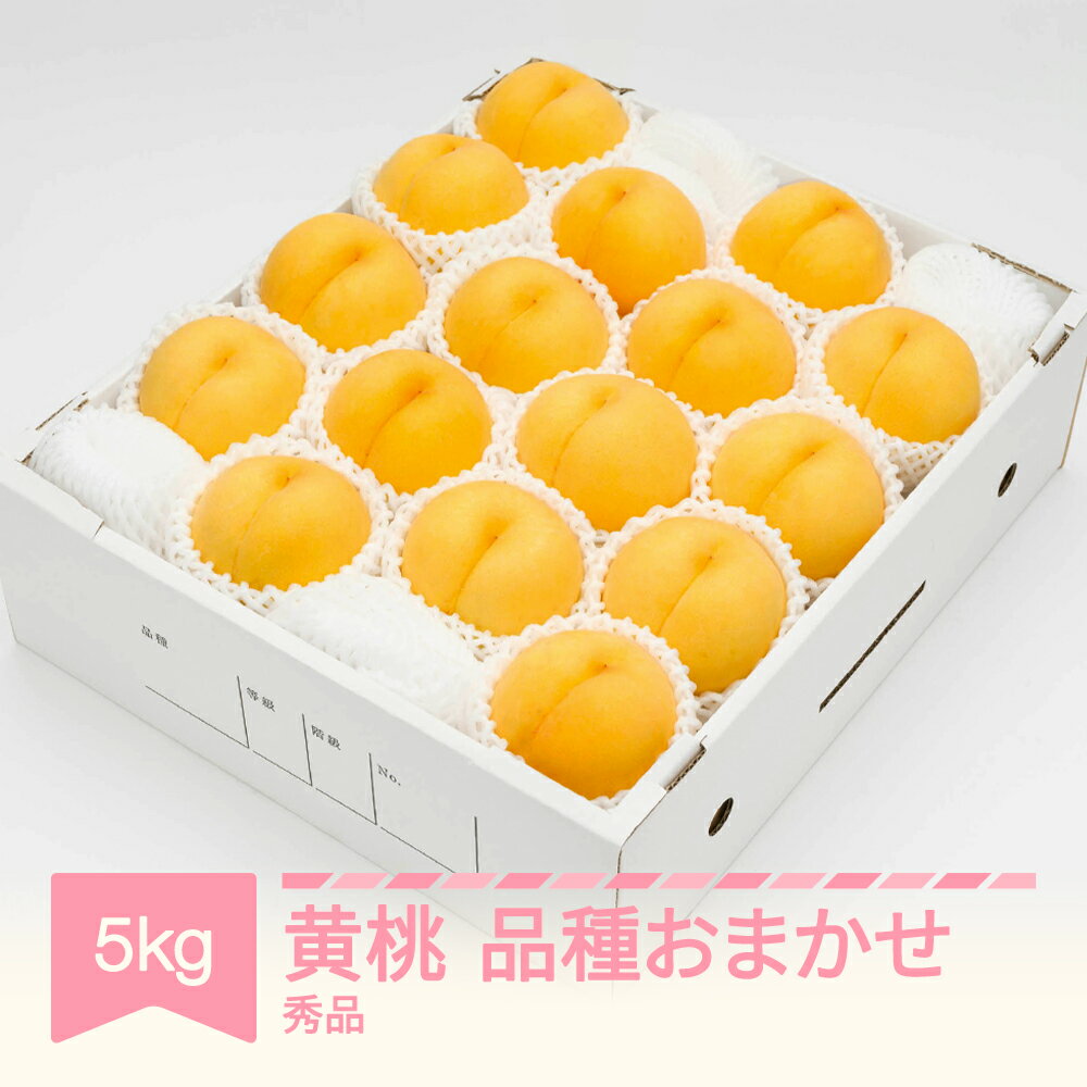 【ふるさと納税】【先行予約】 もも 有袋黄桃 秀品 品種おまかせ 約5kg 令和8年産 2026年産 山形県産 果物 送料無料 ns-mootx5※沖縄・離島への配送不可