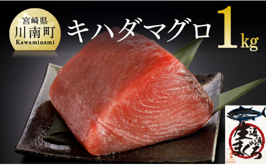 
漁協直送！キハダマグロブロック（生）1kg
