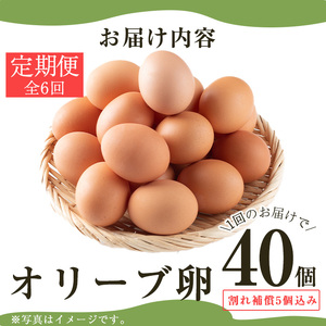 No.779 ＜定期便・全6回(連続)＞鹿児島県産美山オリーブ卵(10個×4P×6ヶ月連続)【美山たまご王国】