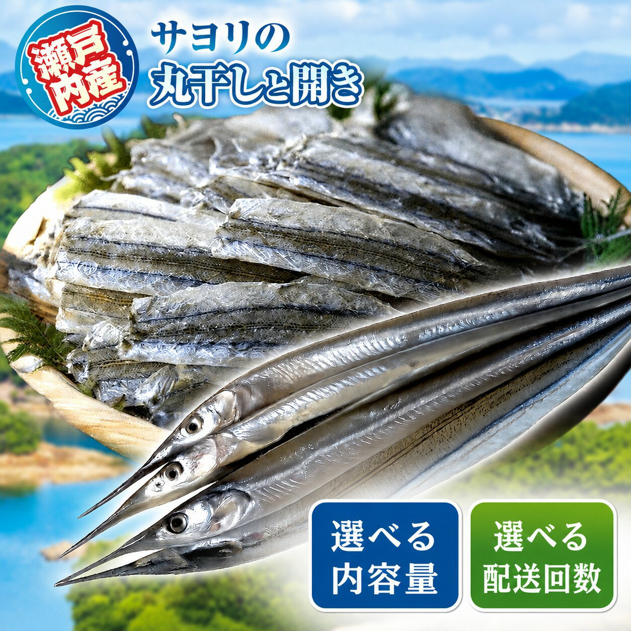 【ふるさと納税】 選べる 配送回数 内容量 瀬戸内海産 サヨリ の 丸干し と 開き ｜ お試し 定期便 魚 干物 つまみ 珍味 乾物 海の幸 海産物 瀬戸内 山口県 平生町