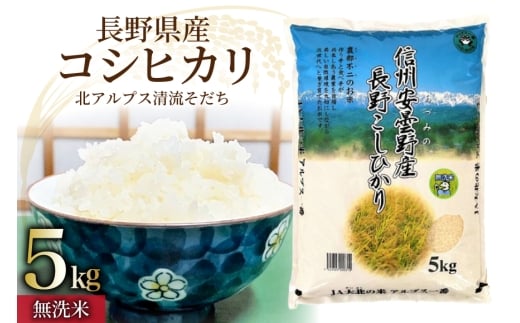 米 令和7年 長野県産 コシヒカリ 5kg（無洗米） [大北農業協同組合 長野県 池田町 48110834] お米 こめ ごはん 令和7年産 5キロ 精米 白米 無洗米 こしひかり