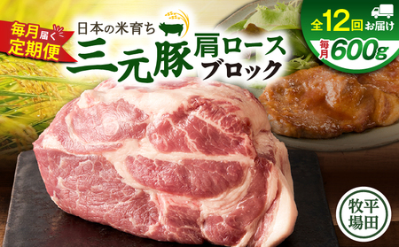【 全12回 毎月 定期便 】 日本 の 米育ち 平田牧場 三元豚 肩ロース ブロック 600g T036-T10-03 定期 肉 お肉 にく 豚 豚肉 ブタ ぶた 生姜焼き トマト煮 黒豚 冷凍 バークシャー種 特別品種 便利 パック おかず 夕食 美味しい おいしい ジューシー ふるさと納税 北海道 苫小牧市 おすすめ ランキング プレゼント ギフト