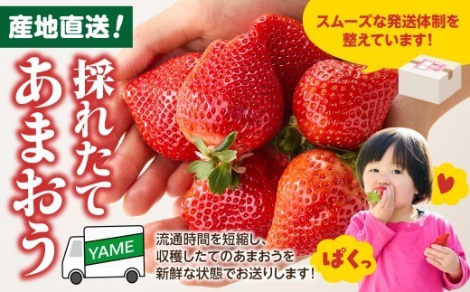 食べ応えのある、大きめの果実