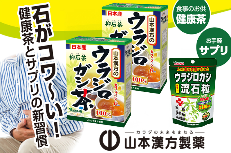 ウラジロガシ茶 20包×2箱＆ウラジロガシ 流石粒 240粒 山本漢方 ティーバッグ