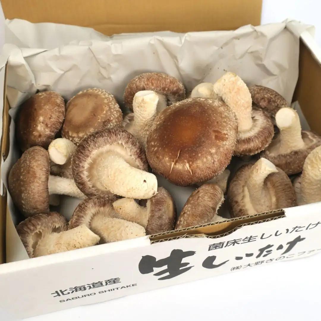 北海道の自然で育った極撰肉厚しいたけ【贈答にも】