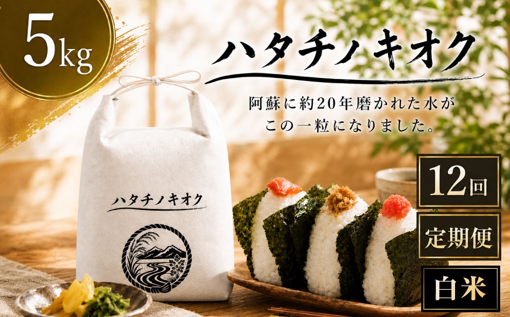 
                  【 12回定期便 】 熊本市産 ヒノヒカリ 白米 5kg ( 約33合 ） ｜ ハタチノキオク 12回 お米 米 白飯 ご飯 おにぎり 和食 国産 熊本県産 ブランド米 定期 定期配送
                