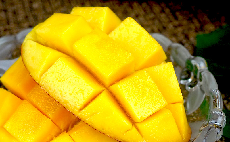 【2026年発送】久志マンゴー農園のアップルマンゴー家庭用（約1kg） アーウィン 果物 甘い 夏 濃厚 ギフト Mango ランキング 完熟 お気に入り 美味しい 人気 おすすめ フルーツ 沖縄県 