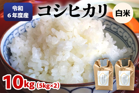 令和6年度産 特別栽培米コシヒカリ 白米10kg(5kg×2袋)｜数量限定 お米 2024年度米 精米 白米 国産 日光産 産地直送 [0403]