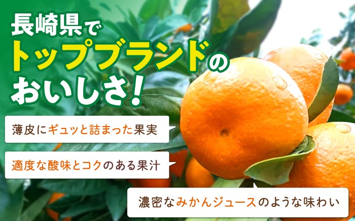 みかん ミカン 蜜柑 みかんジュース フルーツ 果物