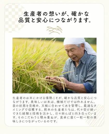 【12ヶ月定期便】米 南関町 単一原料米 (ひのひかりorにこまるorくまさんの輝き)  無洗米 10kg《お申込み翌月から出荷》熊本県産 国産 無洗米 こめ コメ 10キロ