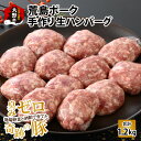 【ふるさと納税】【福井のブランド豚肉】荒島ポーク 手作りハンバーグ100g×12個（計1.2kg） | 国産 豚肉 荒島ポーク 100％ 『奇跡の豚』 味付け済み 生ハンバーグ おうちごはん 冷凍 送料無料[A-054009]