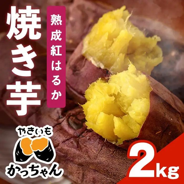 ＜先行予約受付中！11月下旬以降順次発送予定＞焼き芋 熟成紅はるか(2kg) 焼き芋 やきいも さつまいも サツマイモ 紅はるか 芋 おやつ 個包装【117300200】【やきいもかっちゃん】