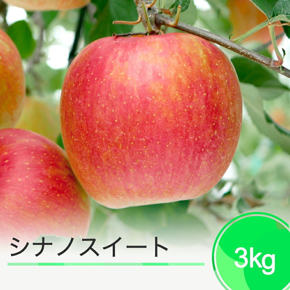 【ふるさと納税】りんご シナノスイート 約3kg 秀 令和7年産 2025年産 果物 フルーツ 果樹 送料無料