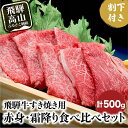 【ふるさと納税】A5ランク飛騨牛 すき焼き用 赤身・霜降り食べ比べ 計500g＋割下300ml | 和牛 牛肉 肉 すき焼きセット 食べ比べ 飛騨高山 岩ト屋 HF010VP