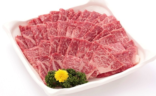 【2026年1月中旬以降発送】 丹波牛 焼肉用 1kg 5～6人前 【 黒毛和牛 国産牛 焼肉 丹波牛 赤身 霜降り 焼肉のタレ付き たれ 京都 丹波 いづつ屋 】 [048IZ001]