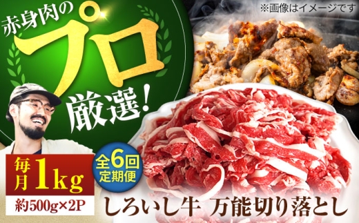 【牧場直送】【6回定期便】佐賀県産 しろいし牛 万能 切落し 1kg（500g×2パック）【佐賀セントラル牧場】佐賀県産 肉 お肉 牛肉 切り落とし 国産 和牛 きりおとし 大容量 冷凍 九州 佐賀県 白石町  白石 [IAH134]