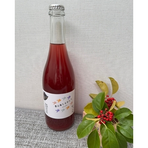 スパークリングワイン 郡山城ものがたり 奈良 スパークリングワイン【750ml】