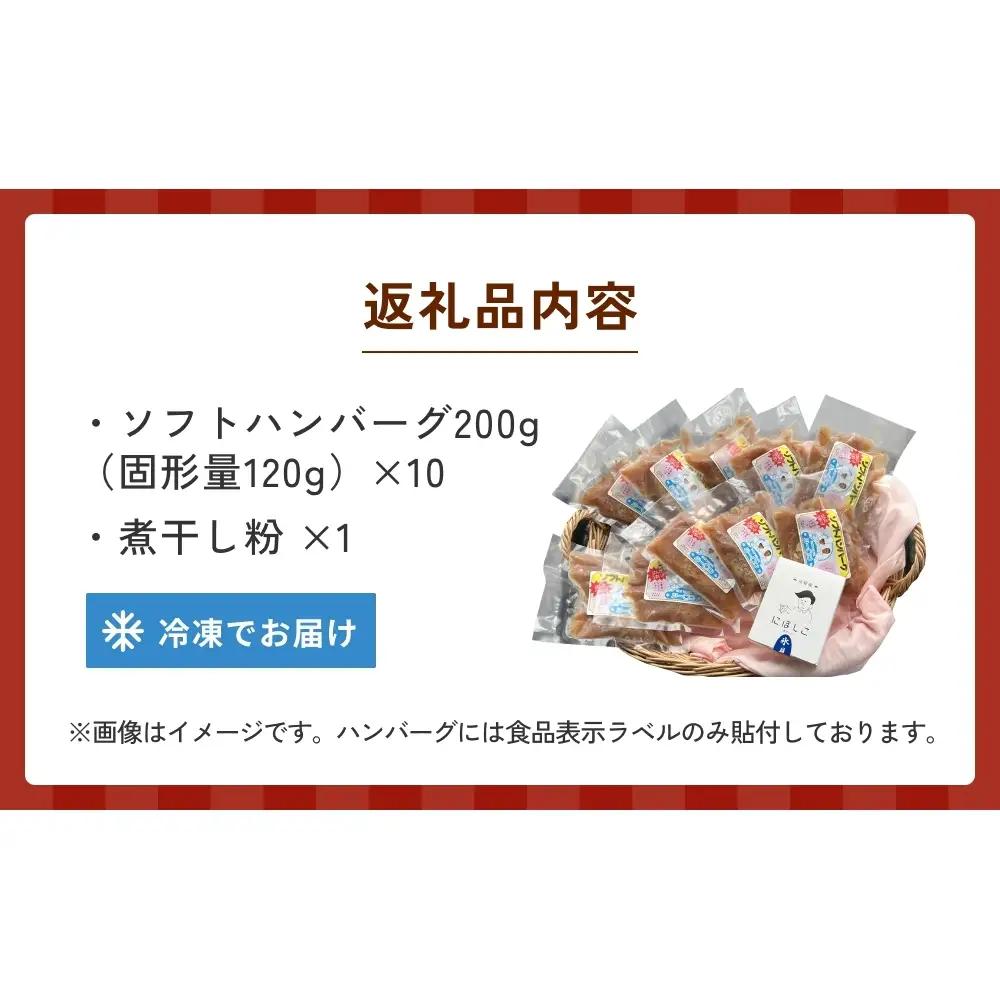 ソフトハンバーグと煮干し粉のセット 富山県 氷見市 煮干 惣菜 調味料　ハンバーグ