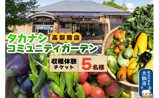タカナシコミュニティガーデンの収穫体験チケット（5名様まで）＜レターパックプラス＞ [高梨商店 地域の庭 秋田県大仙市 収穫体験]