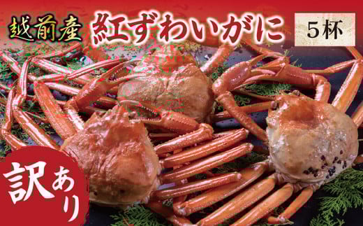 【冷蔵発送・訳あり】越前産　紅ずわいがに　5杯