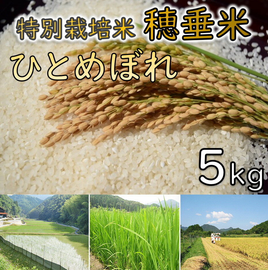 【ふるさと納税】米 精米 白米 特別栽培米 穂垂米　「ひとめぼれ」5kg　(1026)