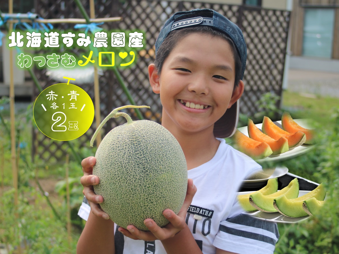 【ふるさと納税】（予約返礼品）わっさむ産メロン（赤・青各1玉）