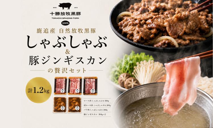 
                  鹿追産 自然放牧黒豚しゃぶしゃぶ＆豚ジンギスカンの贅沢セット 【 ふるさと納税 人気 おすすめ ランキング 黒豚 豚 黒豚肉 豚肉 ポーク しゃぶしゃぶ ジンギスカン 豚しゃぶ 北海道 鹿追町 送料無料 】 SKN006
                