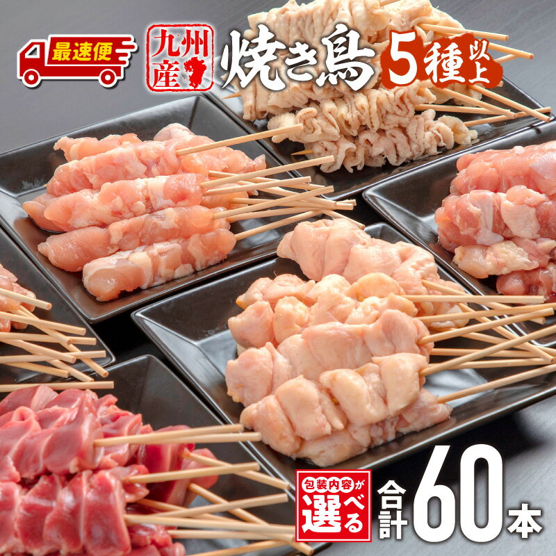 【ふるさと納税】《包装内容・発送時期が選べる》九州産若鶏の焼き鳥セット（60本）盛り合わせ 鶏肉 肉 お肉 若鶏 焼き鳥 串焼き 焼き鳥串 食べ比べ 味比べ 詰め合わせ 焼き鳥セット 小分け パック 冷凍 BBQ バーベキュー おつまみ つまみ 便利