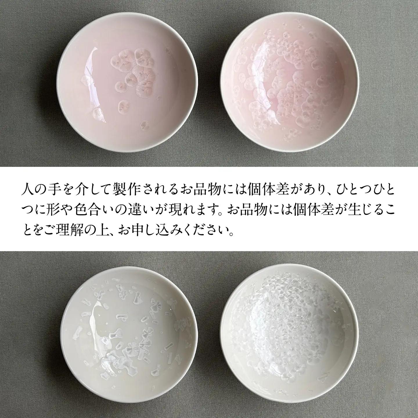 【美濃焼】 花を咲かせるような美しさ 平盃 輝華結晶・さくら 2点セット 多治見市 / カネヨ / 壽泉窯[TBO015]